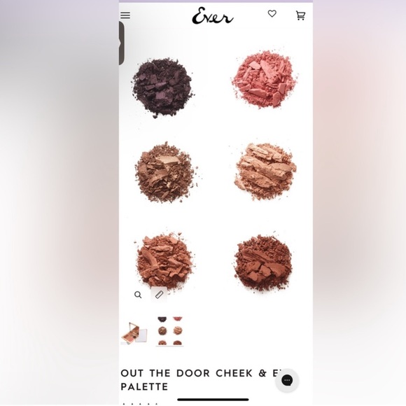 EVER 2pc Set BRUSH & EYE PALETTE NWT $98 - Picture 7 of 11